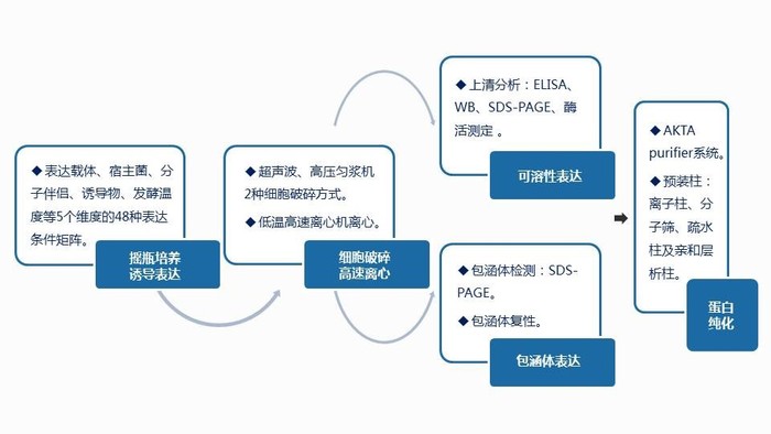 大規模發酵服務平臺.jpg