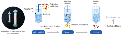 抗體&蛋白純化服務; Antibody & Protein Purification Service 抗體&蛋白純化服務; Antibody & Protein Purification Service