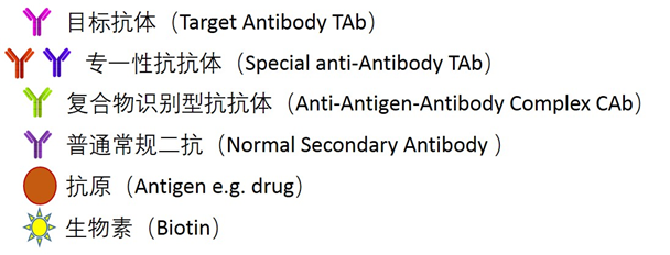 功能阻遏\专一型抗抗体制备（Interference Function/ Anti-idiotype Antibody Service）